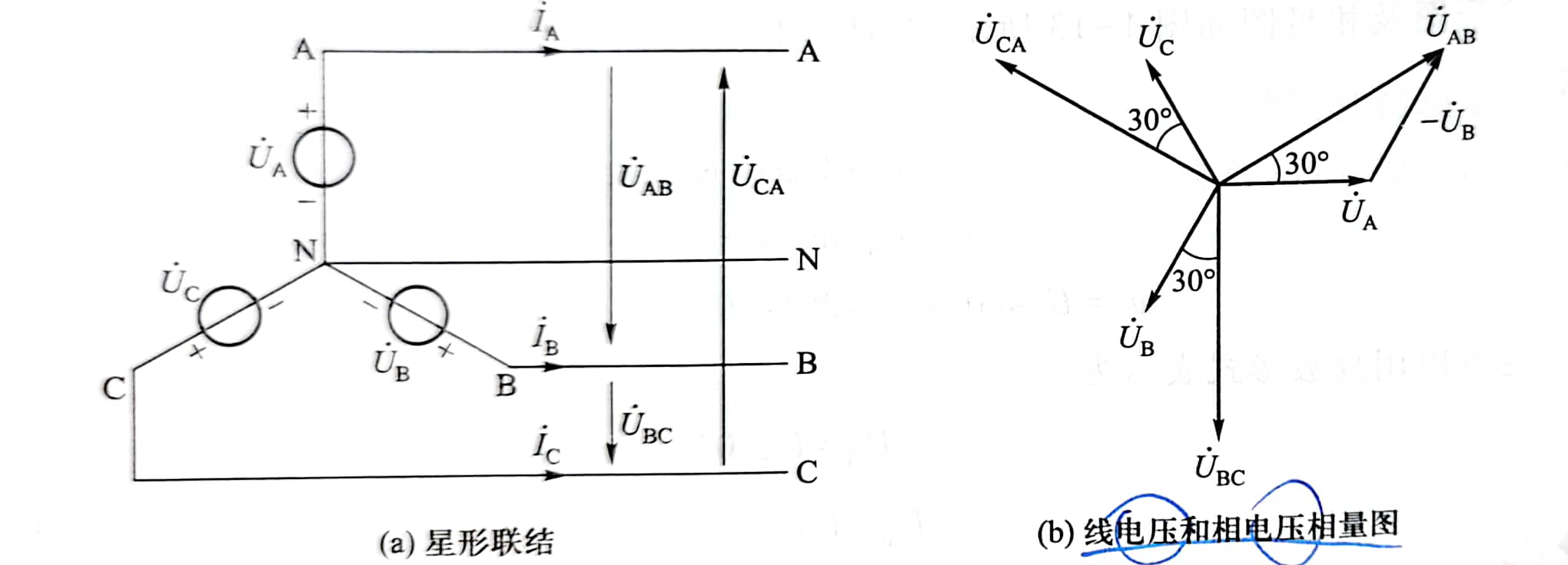 工程电磁场_第五周作业_陆昊洋_1120192322_06011905 (1)_1